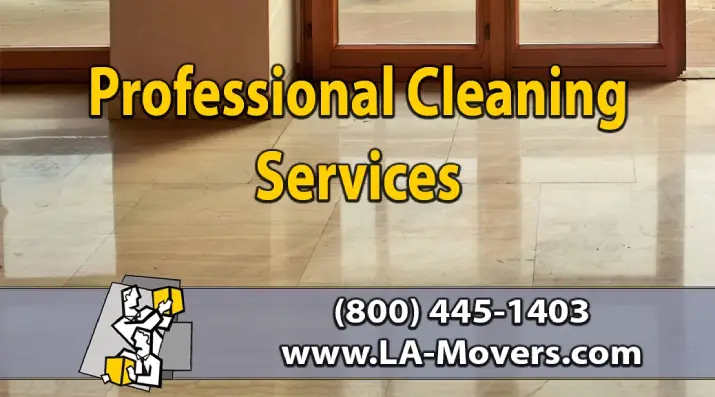 Professional Cleaning Services